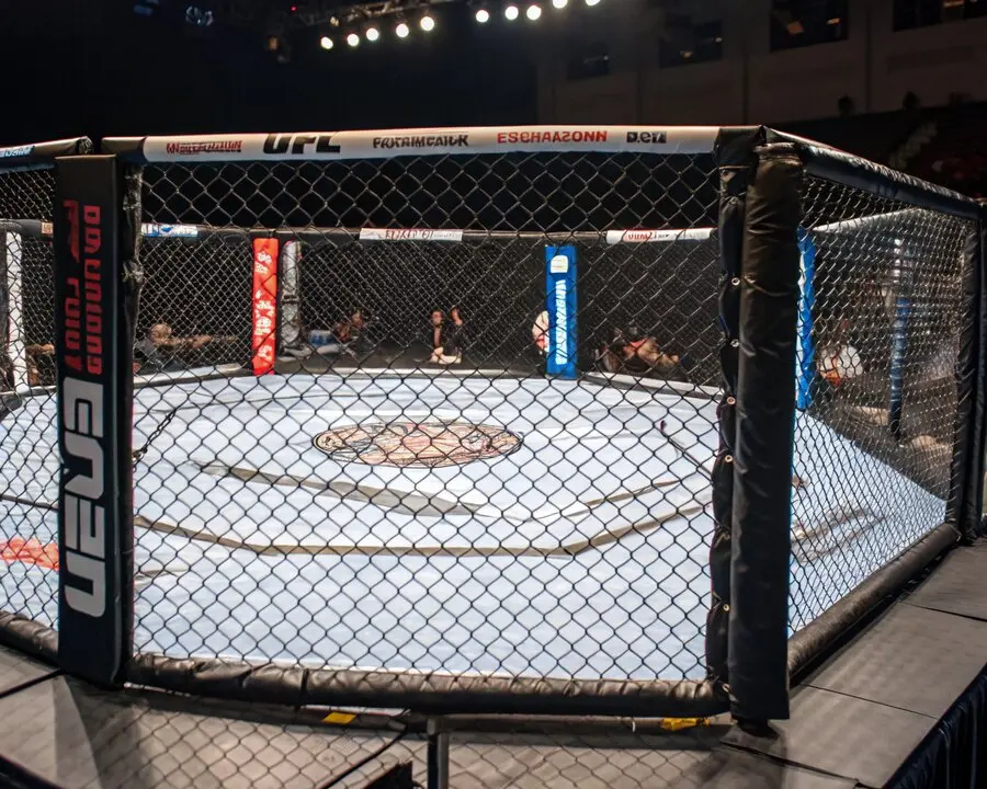 Explora el impactante enfrentamiento entre Alex Pereira y Jan Błachowicz en UFC 291, con un análisis detallado de estrategias de apuestas para maximizar tus ganancias con Vamoswin.