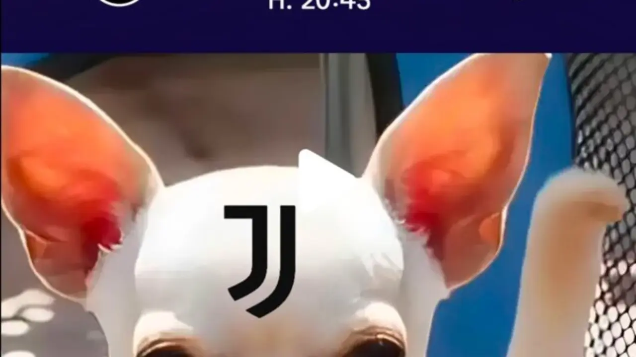 Adéntrate en el análisis completo del partido Atalanta vs Juventus el 14 de enero de 2025. Conoce los pronósticos, recomendaciones de apuestas y comparativas de cuotas.